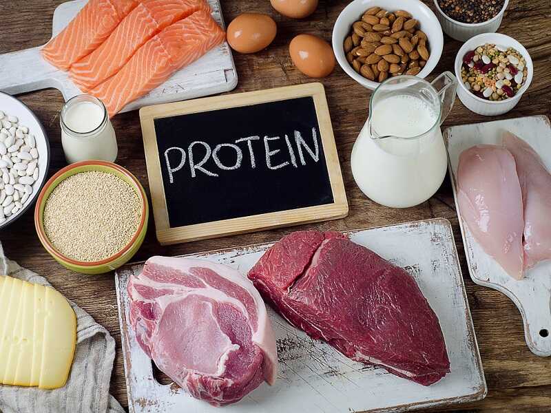 tại sao chúng ta lại cần ăn protein từ các nguồn thực phẩm khác nhau